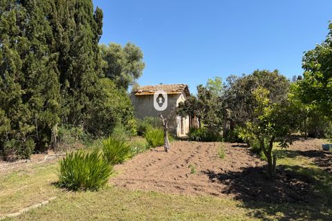 Landejendom i Binissalem, Mallorca, Binissalem - € 260.000 | Ref: P002790/10684 - foto 16