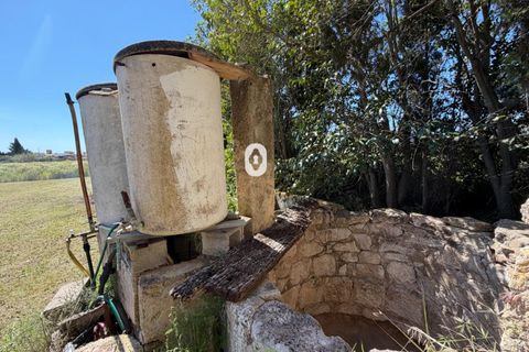 Landejendom i Binissalem, Mallorca, Binissalem - € 260.000 | Ref: P002790/10684 - foto 17