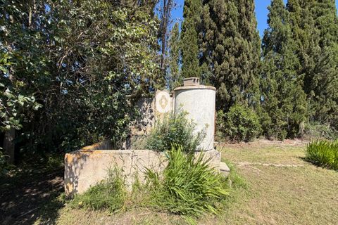 Landejendom i Binissalem, Mallorca, Binissalem - € 260.000 | Ref: P002790/10684 - foto 18