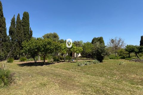 Landejendom i Binissalem, Mallorca, Binissalem - € 260.000 | Ref: P002790/10684 - foto 19