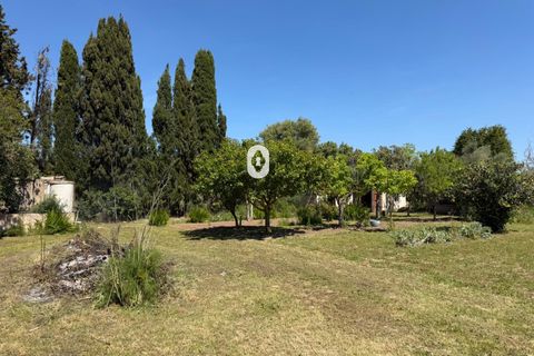 Landejendom i Binissalem, Mallorca, Binissalem - € 260.000 | Ref: P002790/10684 - foto 20