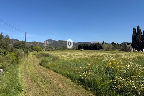 Landejendom i Binissalem, Mallorca, Binissalem - € 260.000 | Ref: P002790/10684 - foto 21
