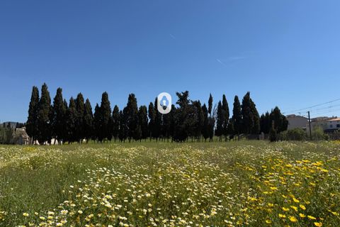 Landejendom i Binissalem, Mallorca, Binissalem - € 260.000 | Ref: P002790/10684 - foto 22