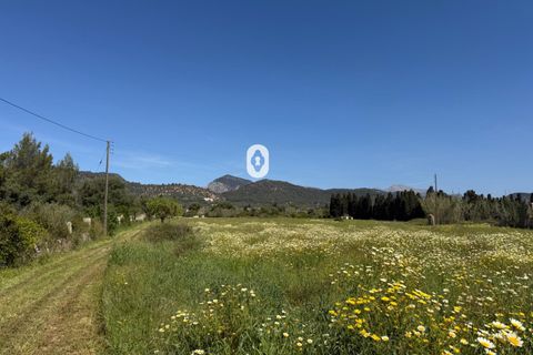 Landejendom i Binissalem, Mallorca, Binissalem - € 260.000 | Ref: P002790/10684 - foto 23