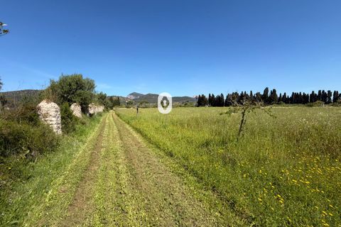 Landejendom i Binissalem, Mallorca, Binissalem - € 260.000 | Ref: P002790/10684 - foto 24