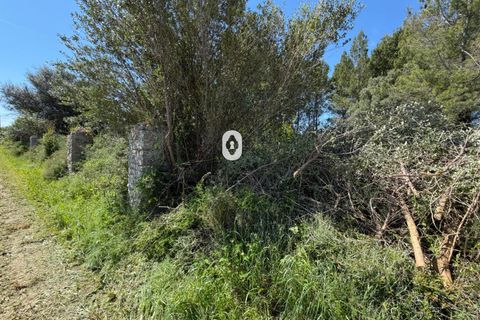 Landejendom i Binissalem, Mallorca, Binissalem - € 260.000 | Ref: P002790/10684 - foto 25