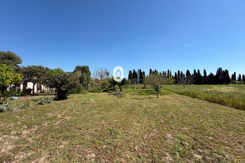 Landejendom i Binissalem, Mallorca, Binissalem - € 260.000 | Ref: P002790/10684 - foto 28