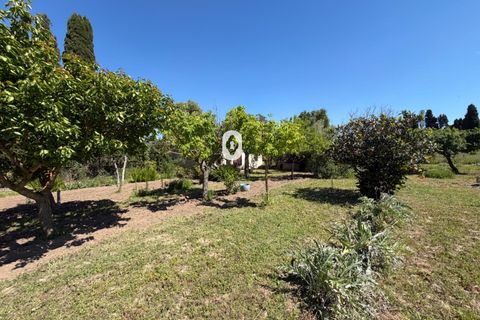 Landejendom i Binissalem, Mallorca, Binissalem - € 260.000 | Ref: P002790/10684 - foto 29