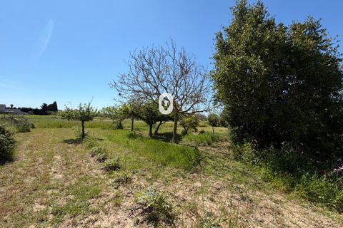 Landejendom i Binissalem, Mallorca, Binissalem - € 260.000 | Ref: P002790/10684 - foto 30