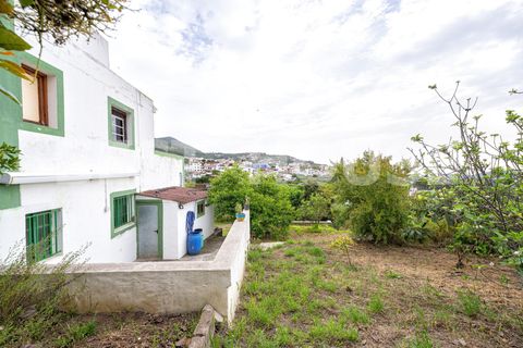 Villa en Teror, Gran Canaria, Teror - € 295.000 | Ref: 14098-PGG/2912 - photo 21