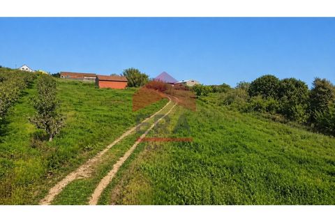Helårsgrund i Obidos, Leiria, Obidos - € 90.000 | Ref: 150260079 - foto 2