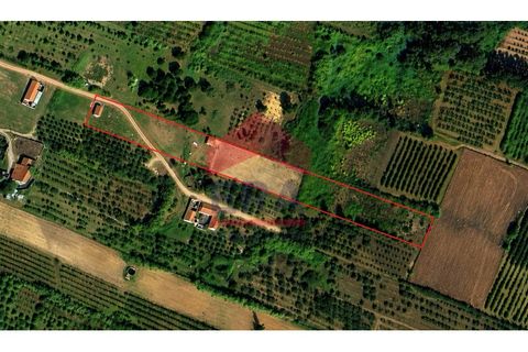Helårsgrund i Obidos, Leiria, Obidos - € 90.000 | Ref: 150260079 - foto 7