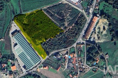 Helårsgrund i Paredes, Porto, Paredes - € 250.000 | Ref: 881986 - foto 1