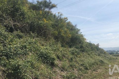 Helårsgrund i Paredes, Porto, Paredes - € 250.000 | Ref: 881986 - foto 13