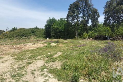 Helårsgrund i Paredes, Porto, Paredes - € 250.000 | Ref: 881986 - foto 15