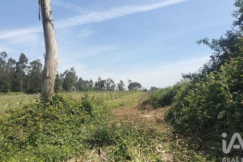 Helårsgrund i Paredes, Porto, Paredes - € 250.000 | Ref: 881986 - foto 19