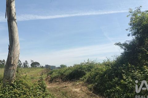 Helårsgrund i Paredes, Porto, Paredes - € 250.000 | Ref: 881986 - foto 22