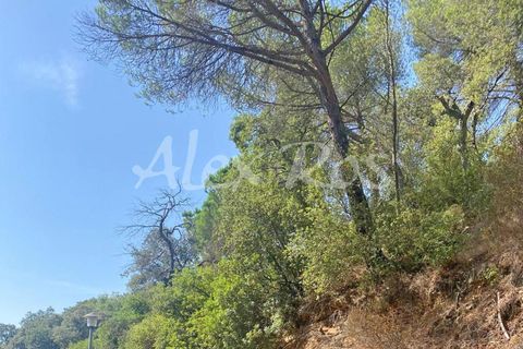 Villa em Calonge, Gerona, Calonge - € 2.000.000 | Ref: 1989 - foto 12
