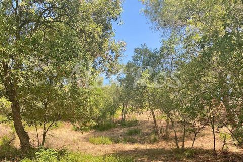 Villa em Calonge, Gerona, Calonge - € 2.000.000 | Ref: 1989 - foto 14