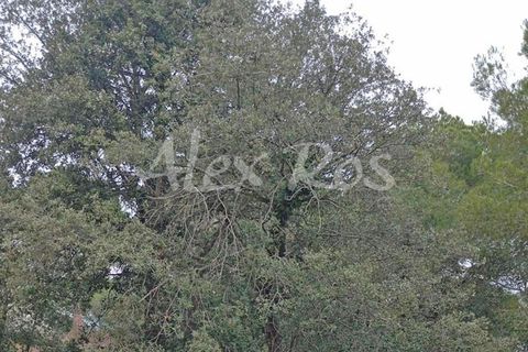 Villa em Calonge, Gerona, Calonge - € 2.000.000 | Ref: 1989 - foto 15