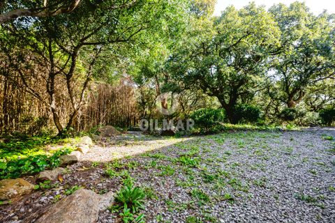 Villa i Tarifa, Cadiz, Tarifa - € 1.900.000 | Ref: 211507 - foto 12