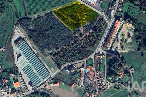 Helårsgrund i Paredes, Porto, Paredes - € 200.000 | Ref: 881967 - foto 1