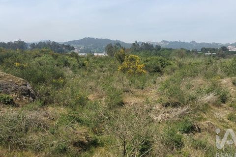 Helårsgrund i Paredes, Porto, Paredes - € 200.000 | Ref: 881967 - foto 4