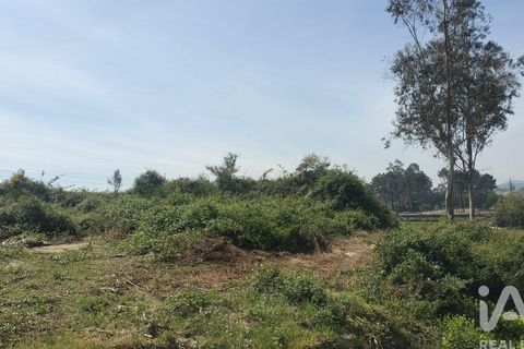 Helårsgrund i Paredes, Porto, Paredes - € 200.000 | Ref: 881967 - foto 23