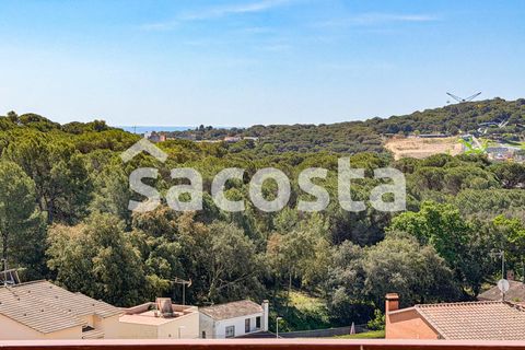 Villa a Lloret De Mar, Gerona, Lloret De Mar - € 450.000 | Ref: C01LM-317/9374 - foto 19