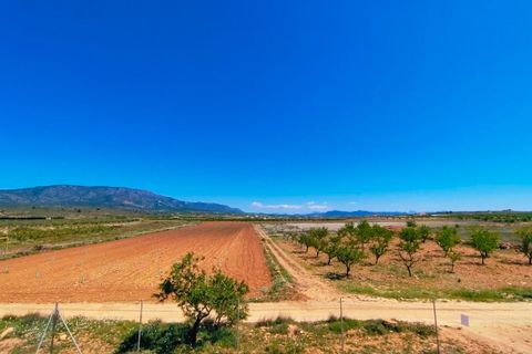 Villa i Pinoso, Alicante, Pinoso - € 210.000 | Ref: CF3332 - foto 27