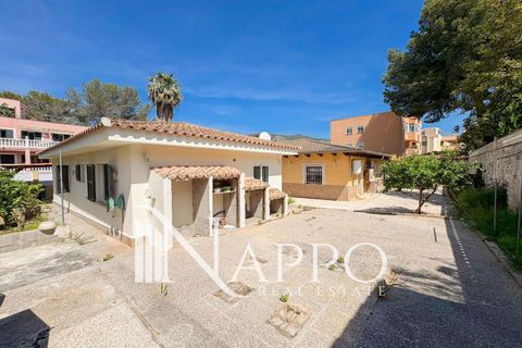 Villa a Calvia, Mallorca, Calvia - € 1.785.000 | Ref: 4922 - foto 31