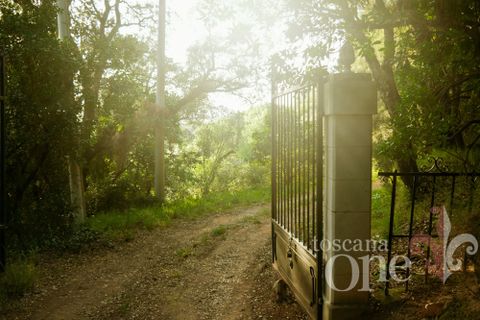 Villa i Roccastrada, Grosseto, Roccastrada - € 699.000 | Ref: 19356 - foto 30
