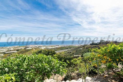 Finca i Torrox, Malaga, Torrox - € 520.000 | Ref: TCP263 - foto 26