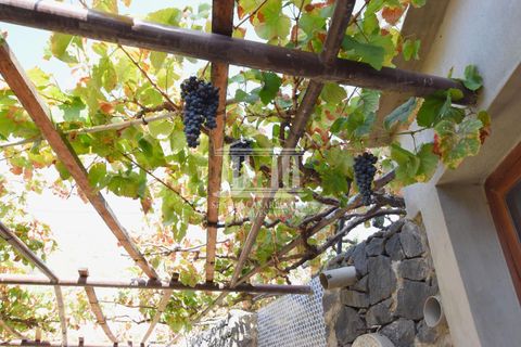 Villa a San Cristobal, Tenerife, San Cristobal - € 800.000 | Ref: 1573 - foto 45