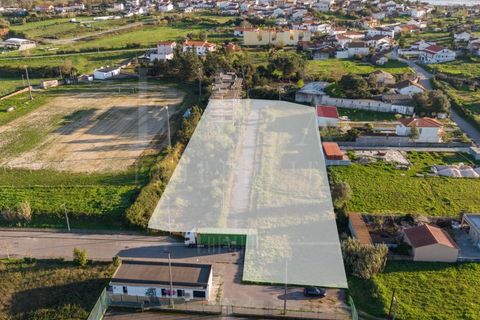 Terra a Soure, Coimbra, Soure - € 450.000 | Ref: LUX_CB-01334 - foto 2