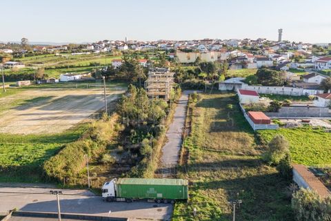 Terra a Soure, Coimbra, Soure - € 450.000 | Ref: LUX_CB-01334 - foto 3