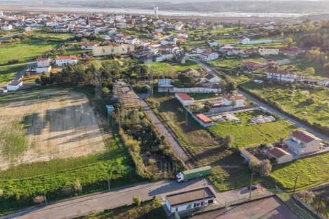 Terra a Soure, Coimbra, Soure - € 450.000 | Ref: LUX_CB-01334 - foto 4