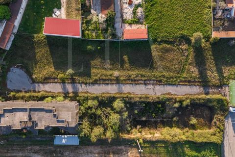 Terra a Soure, Coimbra, Soure - € 450.000 | Ref: LUX_CB-01334 - foto 5
