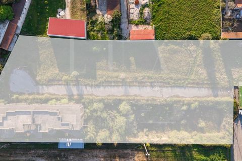 Terra a Soure, Coimbra, Soure - € 450.000 | Ref: LUX_CB-01334 - foto 6