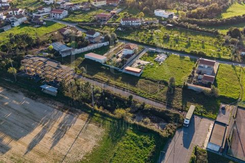Terra a Soure, Coimbra, Soure - € 450.000 | Ref: LUX_CB-01334 - foto 7