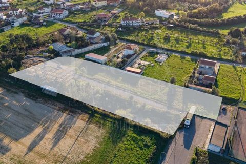 Terra a Soure, Coimbra, Soure - € 450.000 | Ref: LUX_CB-01334 - foto 8