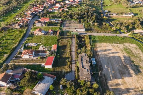 Terra a Soure, Coimbra, Soure - € 450.000 | Ref: LUX_CB-01334 - foto 10