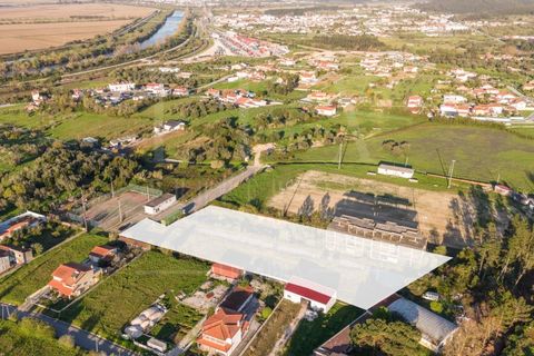 Terra a Soure, Coimbra, Soure - € 450.000 | Ref: LUX_CB-01334 - foto 14