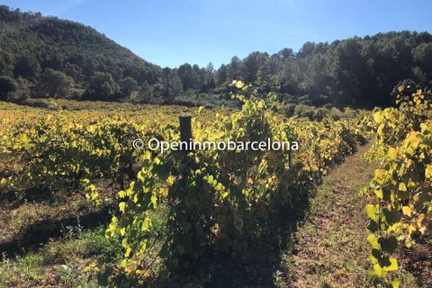 Byhus i Torrelles De Foix, Barcelona, Torrelles De Foix - € 200.000 | Ref: OI01331/5763 - foto 4