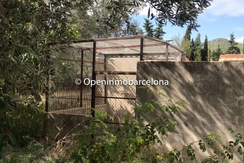 Byhus i Torrelles De Foix, Barcelona, Torrelles De Foix - € 200.000 | Ref: OI01331/5763 - foto 13