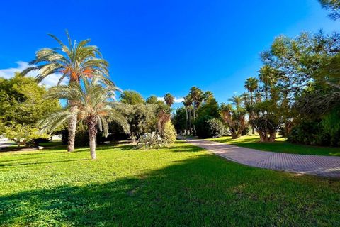 Rækkehus i Torrevieja, Alicante, Torrevieja - € 179.000 | Ref: 21-V168/776 - foto 44
