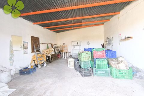 Landejendom i Albox, Almeria, Albox - € 62.000 | Ref: CRE-2699 - foto 18