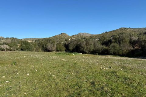 Landejendom i Arta, Mallorca, Arta - € 350.000 | Ref: 5994W - foto 17