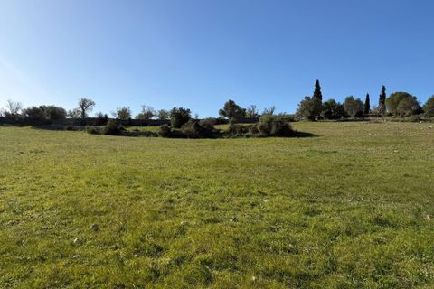 Landejendom i Arta, Mallorca, Arta - € 350.000 | Ref: 5994W - foto 18