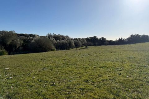 Landejendom i Arta, Mallorca, Arta - € 350.000 | Ref: 5994W - foto 19